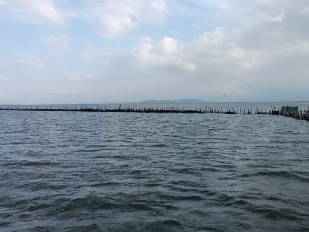 ΑΓ. ΕΙΡΗΝΗ ΙΧΘΥΟΦΡΑΓΜΟΣ 2