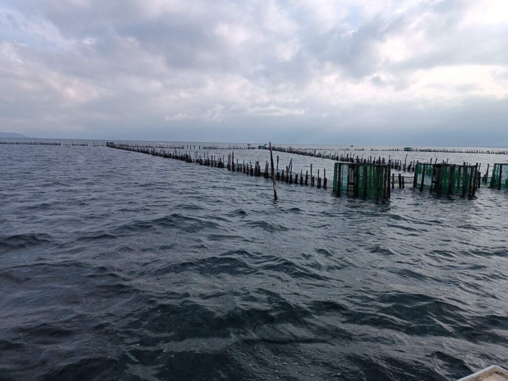 ΑΓ. ΕΙΡΗΝΗ ΔΙΒΑΡΙ 4